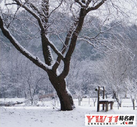 周公解梦取名字大全(周公解梦周公叫什么名字)