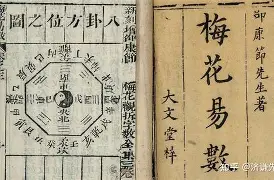 卜易居算命准不准(卜易居算命免费服务)
