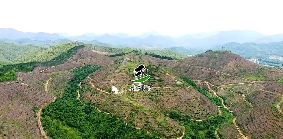 风水宝地的风水是什么意思(风水宝地的风水是什么意思啊)