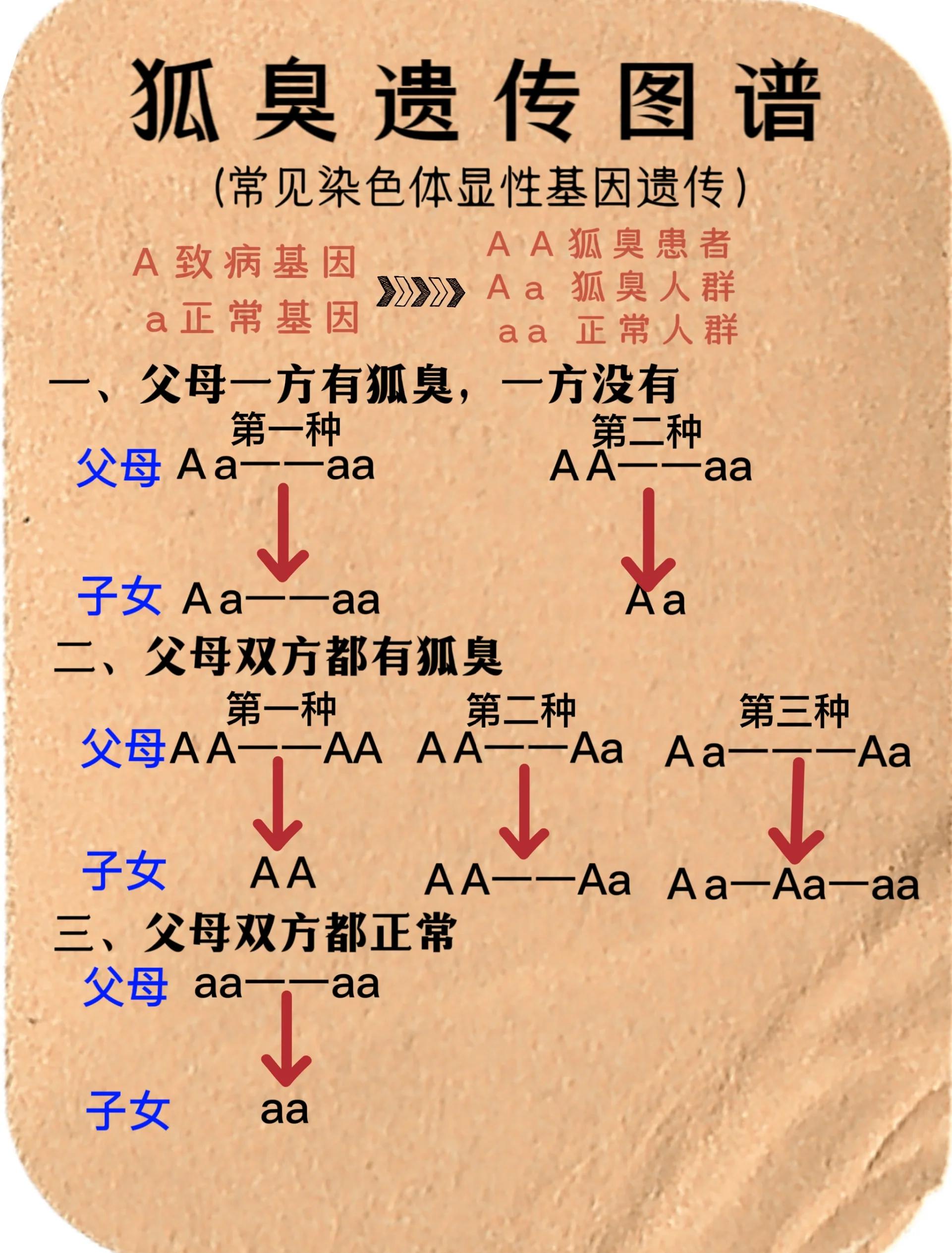 一般遗传的狐臭几岁会发现出来(遗传性狐臭一般几岁开始表现出来) 一般遗传的狐臭几岁会发现出来(遗传性狐臭一般几岁开始表现出来)