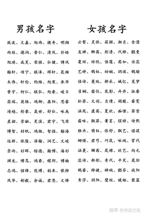 起名打分免费网站(免费起名打分网站推荐)