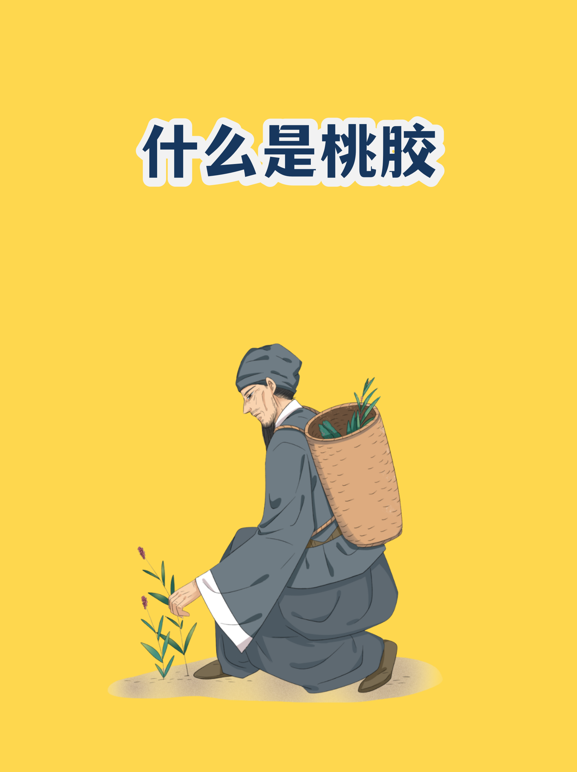 一亩桃树能产多少桃胶合适呢(一亩地桃树一年产多少桃胶价值多少)