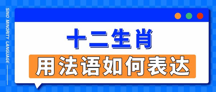 公众号属相技巧(13261公众号)