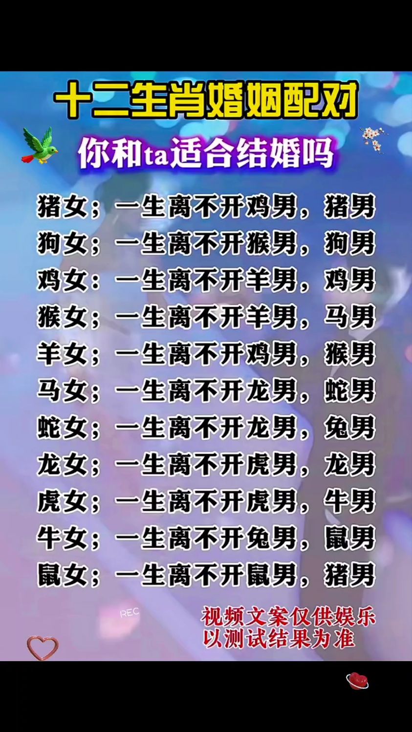 生肖配对(生肖配对真的准吗可信吗) 生肖配对(生肖配对真的准吗可信吗)