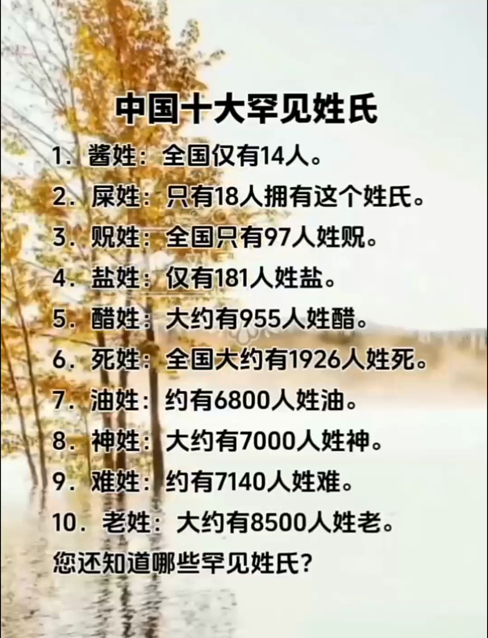实时姓氏要点(姓氏软件生成器) 实时姓氏要点(姓氏软件生成器)