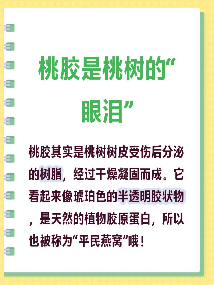 一亩桃树能产多少桃胶合适呢(一亩桃树能产多少桃胶合适呢图片大全) 一亩桃树能产多少桃胶合适呢(一亩桃树能产多少桃胶合适呢图片大全)
