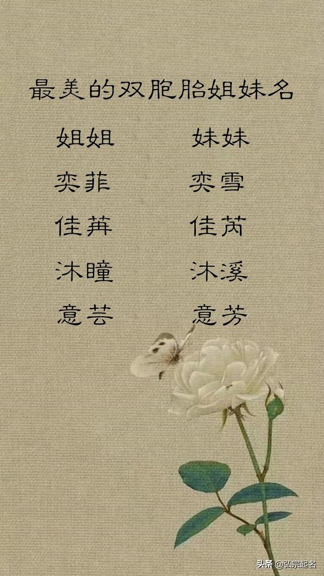 双胞胎起名字女孩(双胞胎起名字女孩2020免费八字起名)