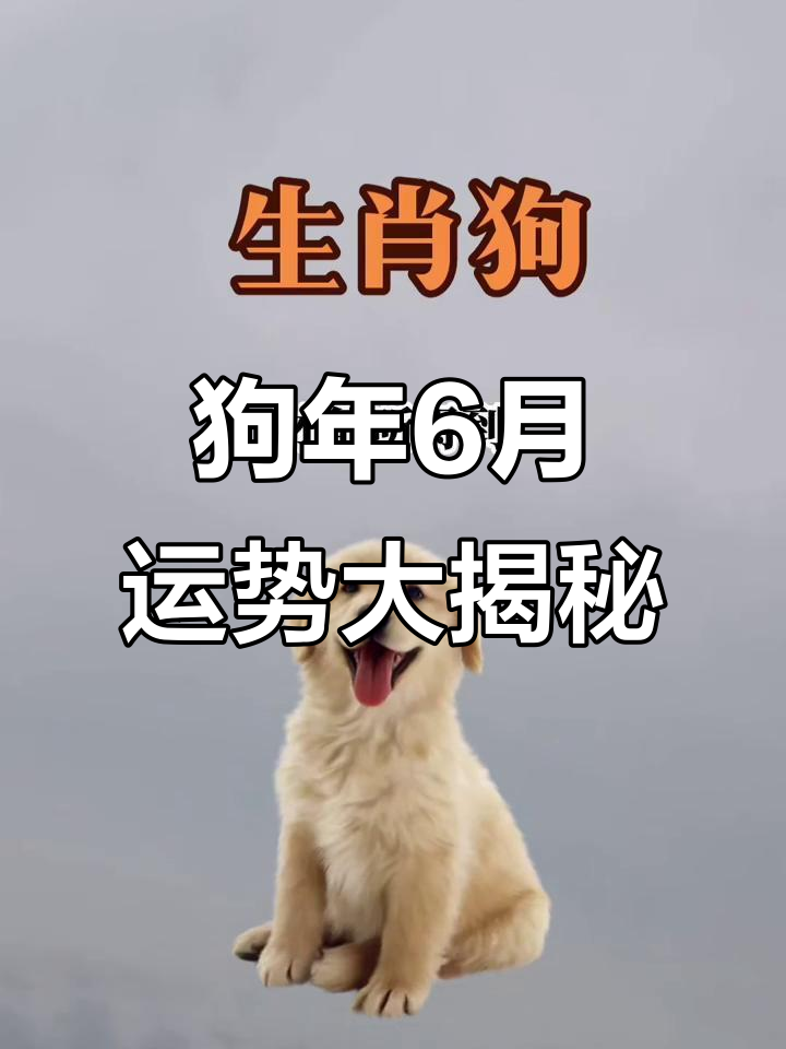 生肖狗2022年下半年运势(生肖狗2022年下半年运势及运程) 生肖狗2022年下半年运势(生肖狗2022年下半年运势及运程)