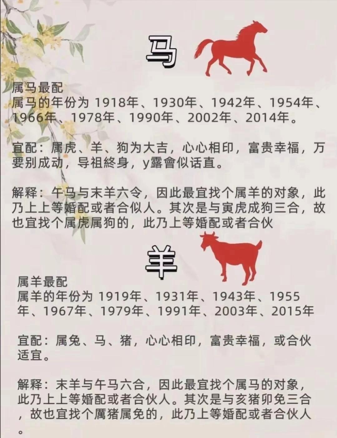 全面属相禁忌(全面属相禁忌是什么)