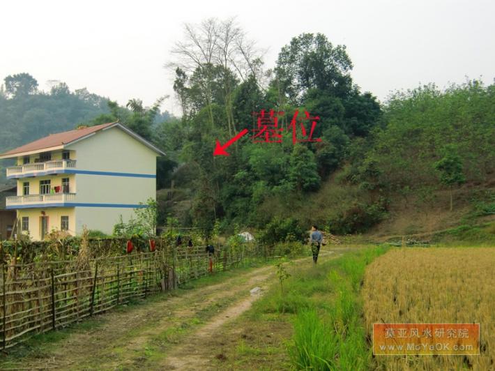 出大官的坟地(出大官的坟地什么地形)