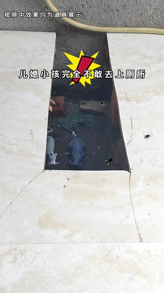 梦见旱厕是什么意思(梦见旱厕和粪便什么预兆)