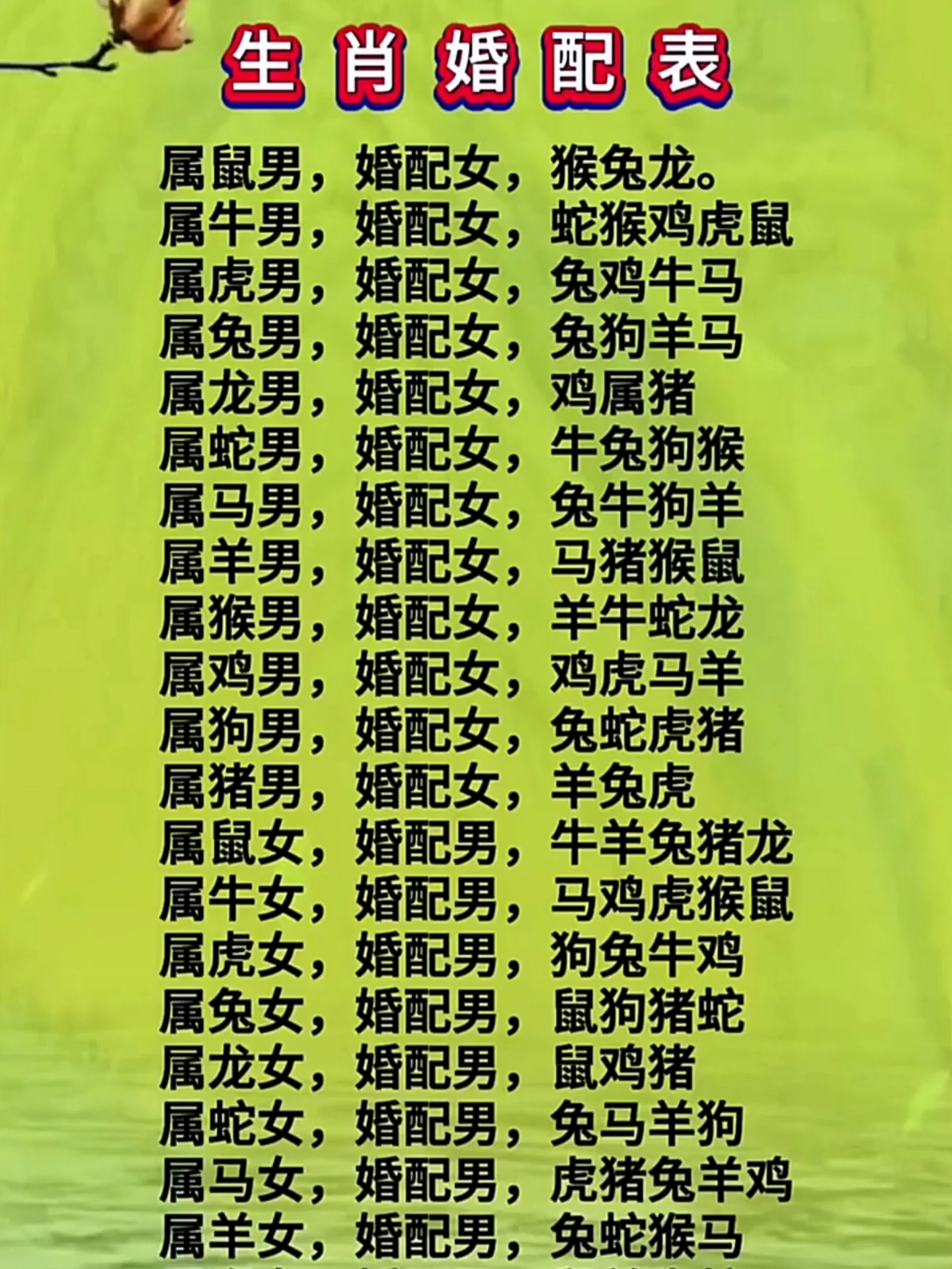 生肖配对表6合(6合生肖配对表完整版)