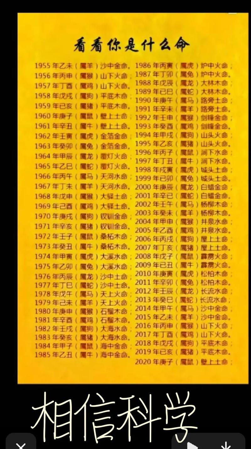 生辰八字怎么看金木水火土(八字怎么看是什么命金木水火土)