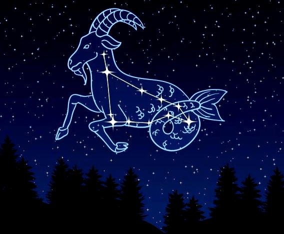 摩羯的星象(摩羯星象什么意思)
