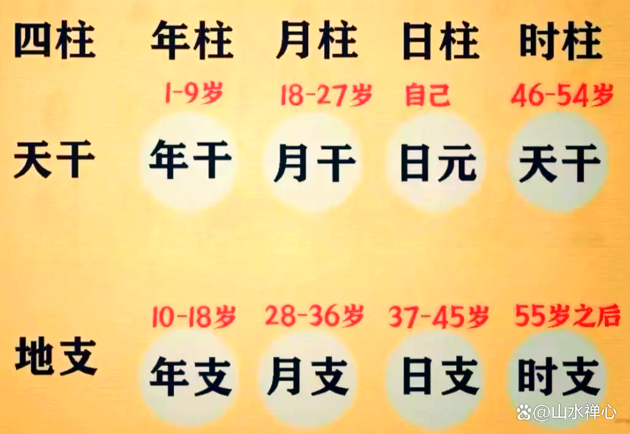 生晨八字可信吗(生晨八字是怎么算的)