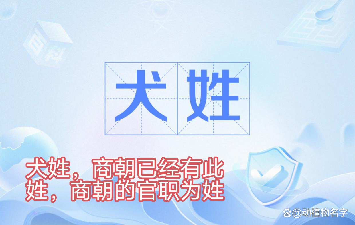姓打一动物(姓字是什么动物) 姓打一动物(姓字是什么动物)