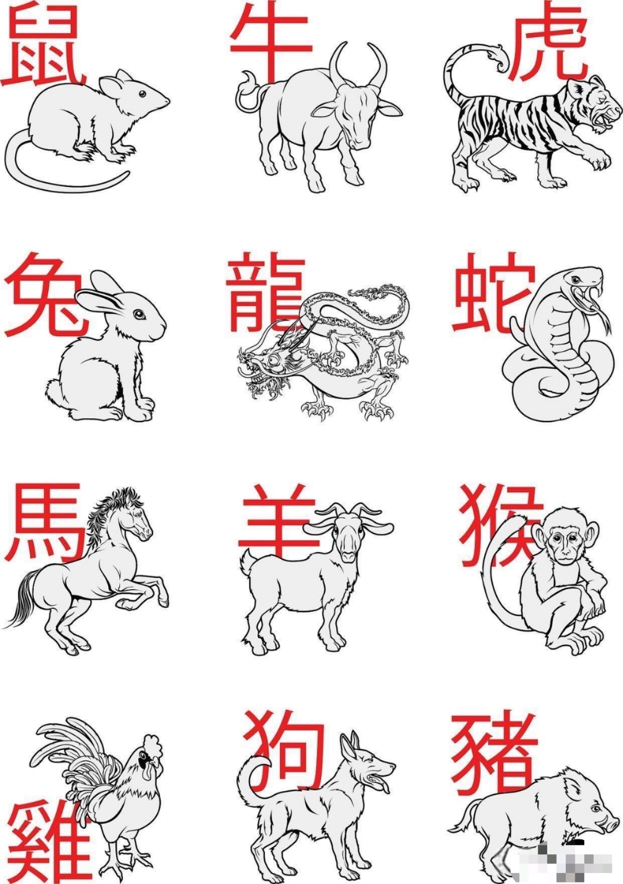 生肖表十二顺序2024年图片(生肖表十二顺序2024年图片大全) 生肖表十二顺序2024年图片(生肖表十二顺序2024年图片大全)