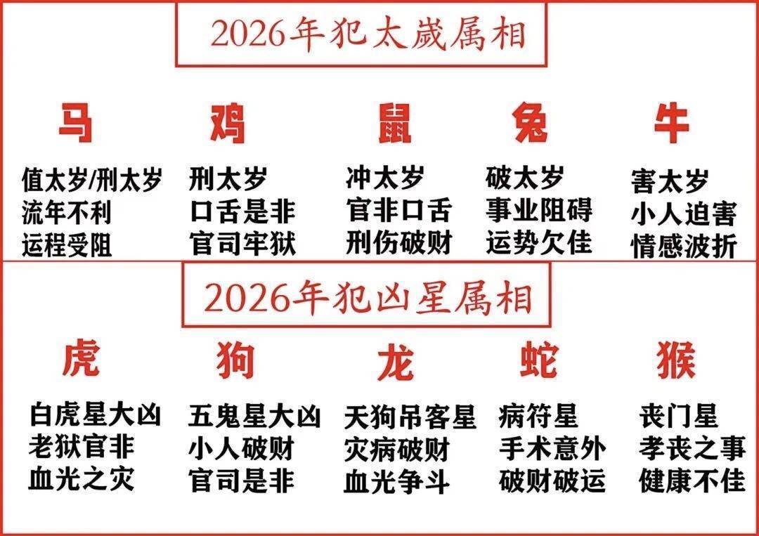 明年属相注意事项(明年需要注意的生肖)
