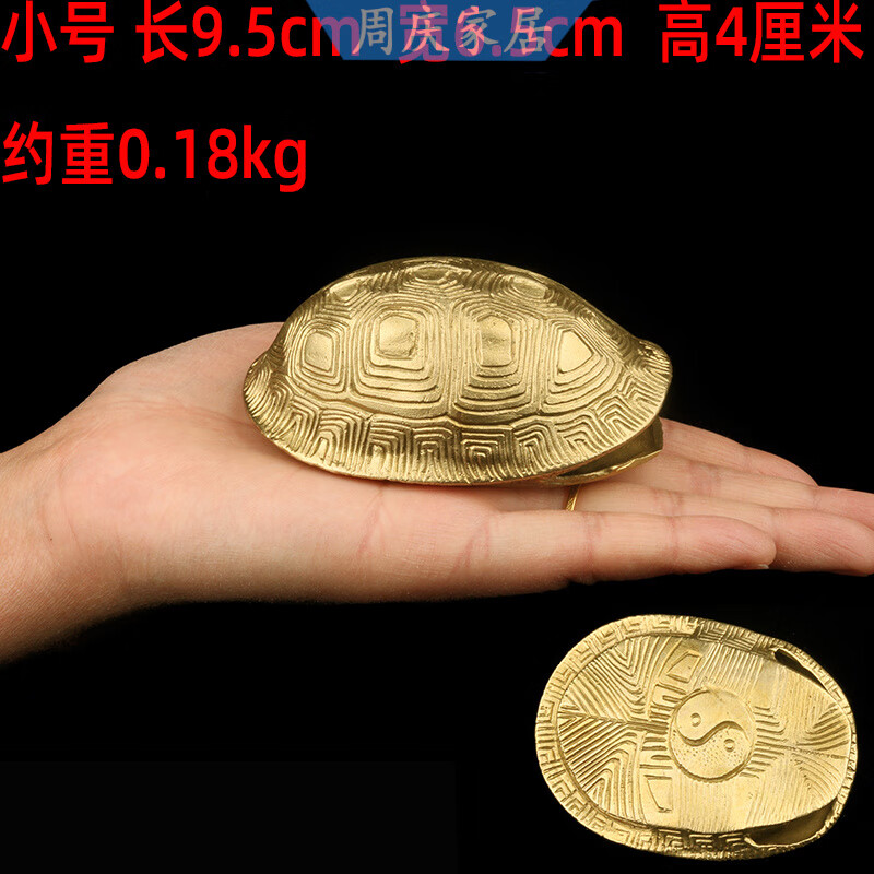 六爻龟壳免费每日一卦怎么用的简单介绍