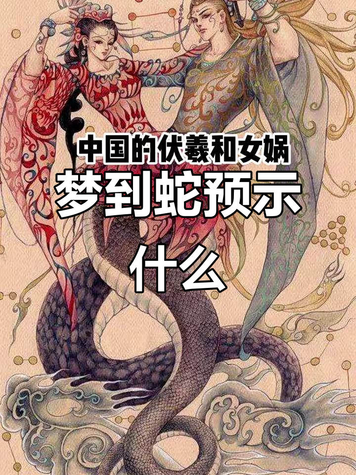 梦见蛇周公解梦官方免费版(周公解梦大全梦见蛇是什么预兆)