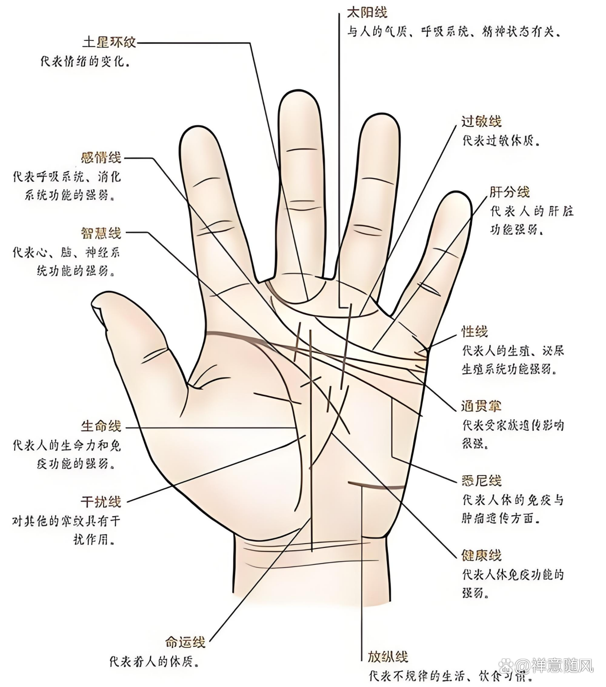 教你看八字(手把手教你看八字) 教你看八字(手把手教你看八字)