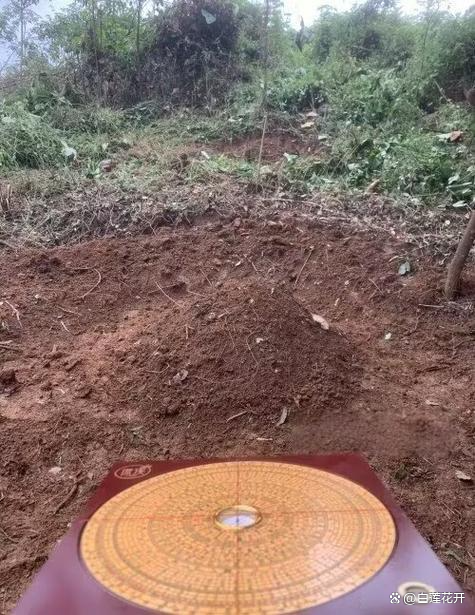 墓地风水视频教程大全(带头建祠堂的人运气怎么样)