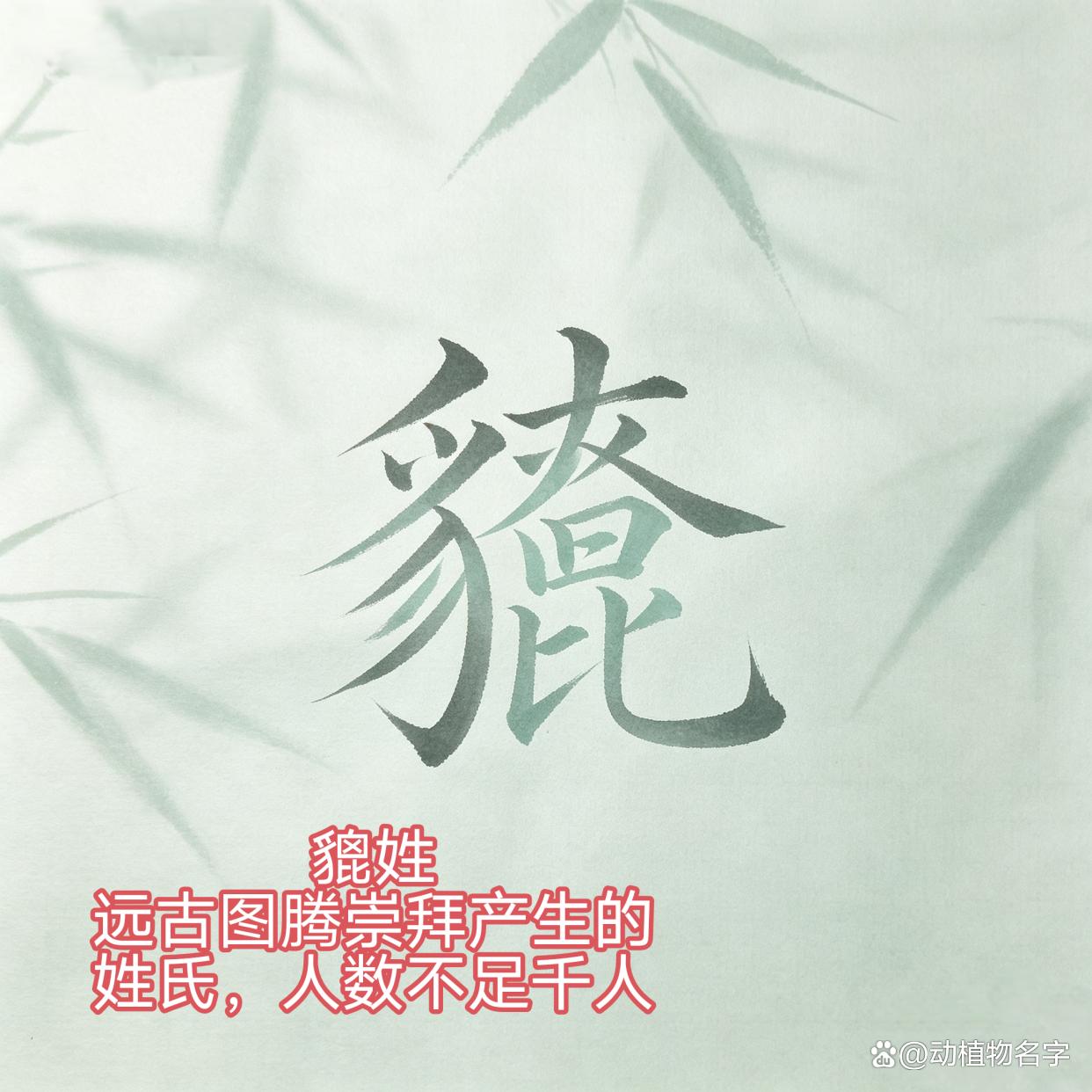 姓动物的姓氏有哪些名字(姓动物的姓氏有哪些名字和图片)