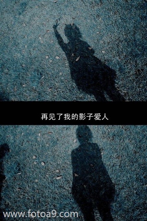 佛滔免费测名(姓名测试佛滔算命网)