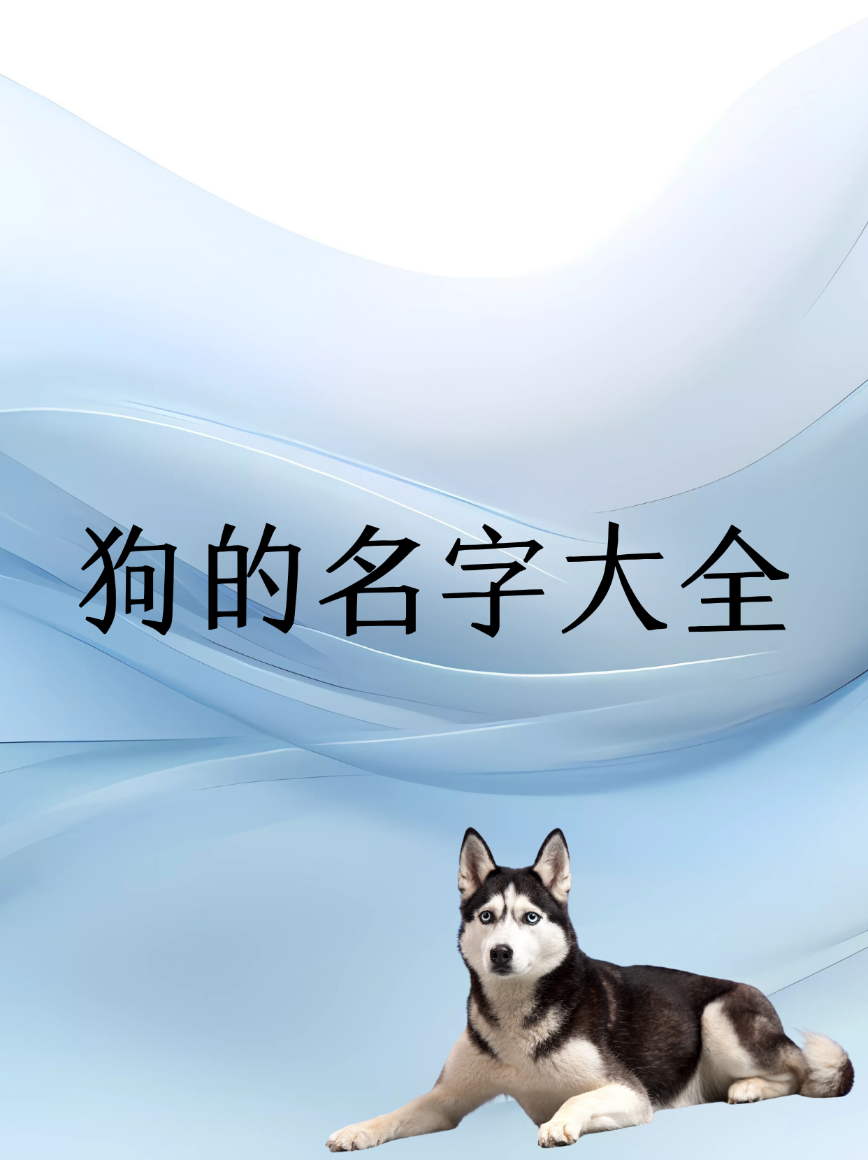 狗起名字(给小母狗起名字)