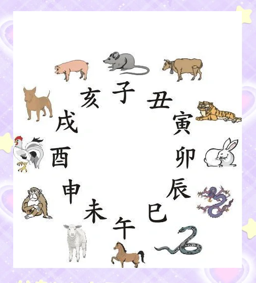 靠谱属相有效吗(属相真的有那么重要吗)