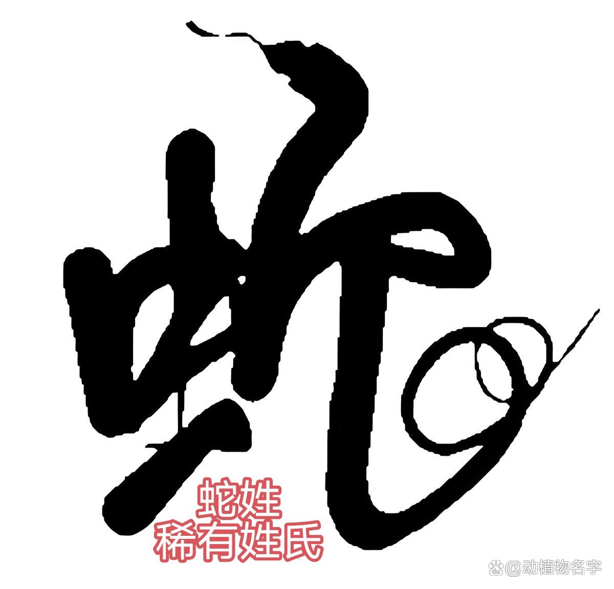 动物的罕见姓氏有哪些(动物的罕见姓氏有哪些名字)