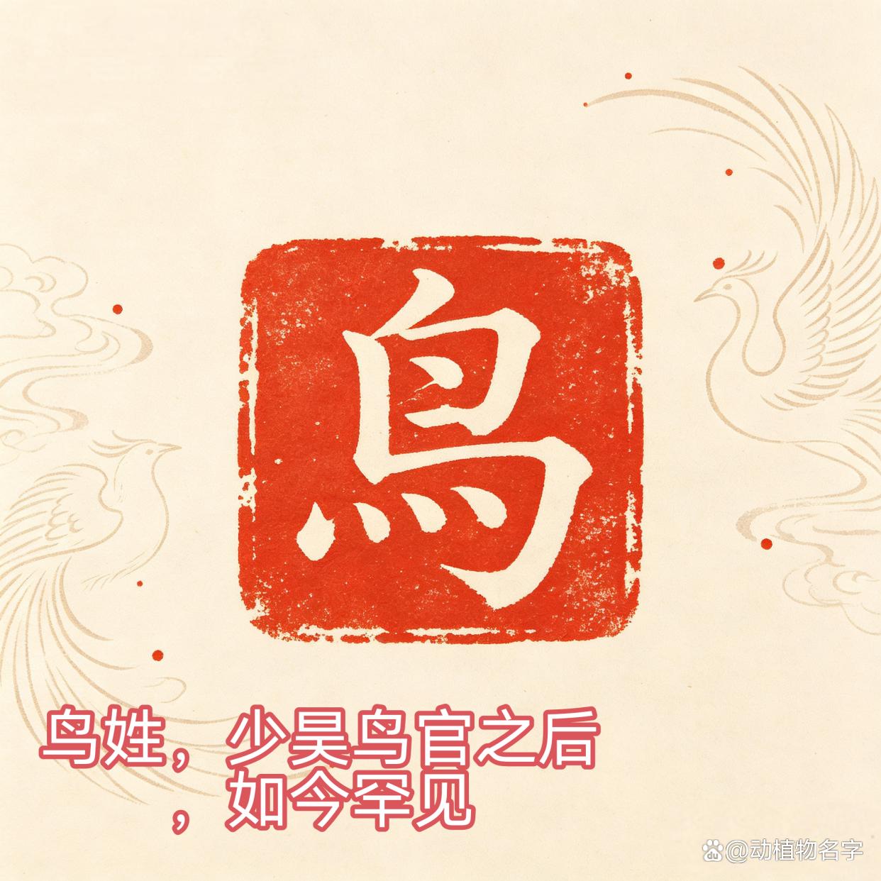 动物的罕见姓氏有哪些(动物的罕见姓氏有哪些名字)