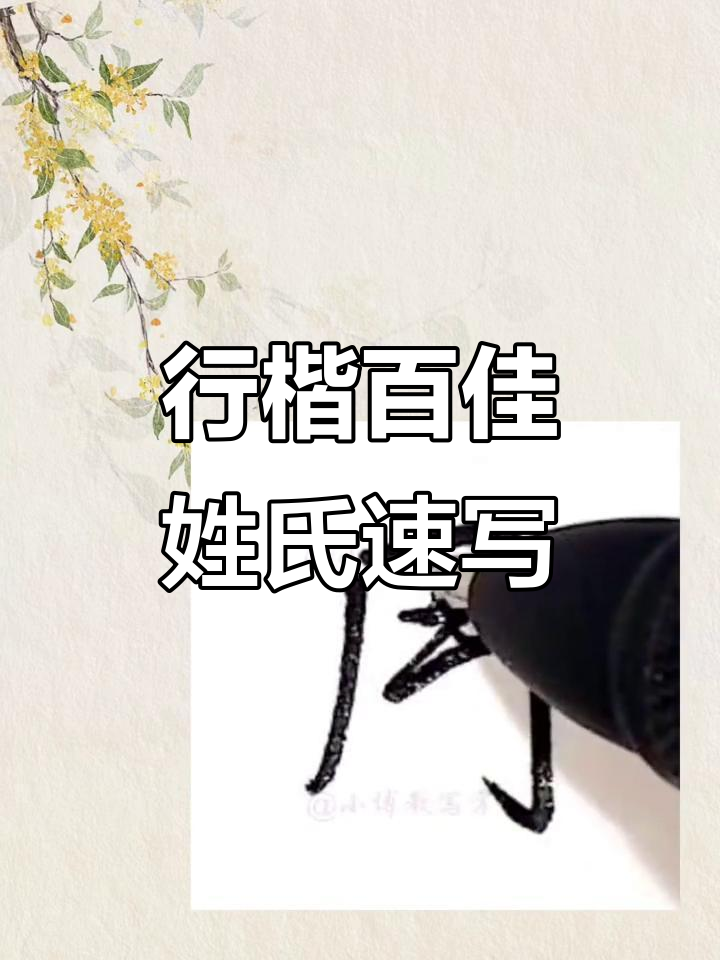 百家姓完整版视频(百家姓全文朗读视频播放)