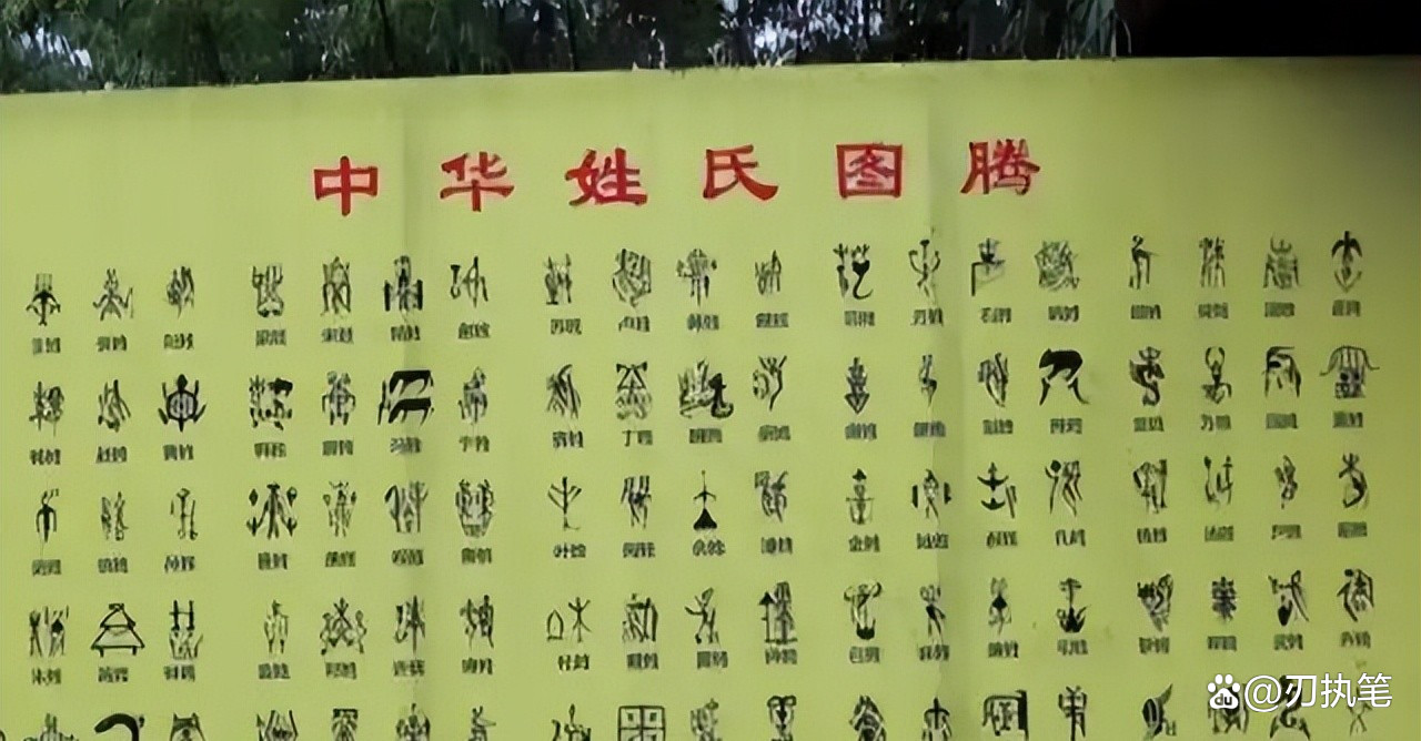 全国一共有多少个姓(全国一共有多少个姓李的)