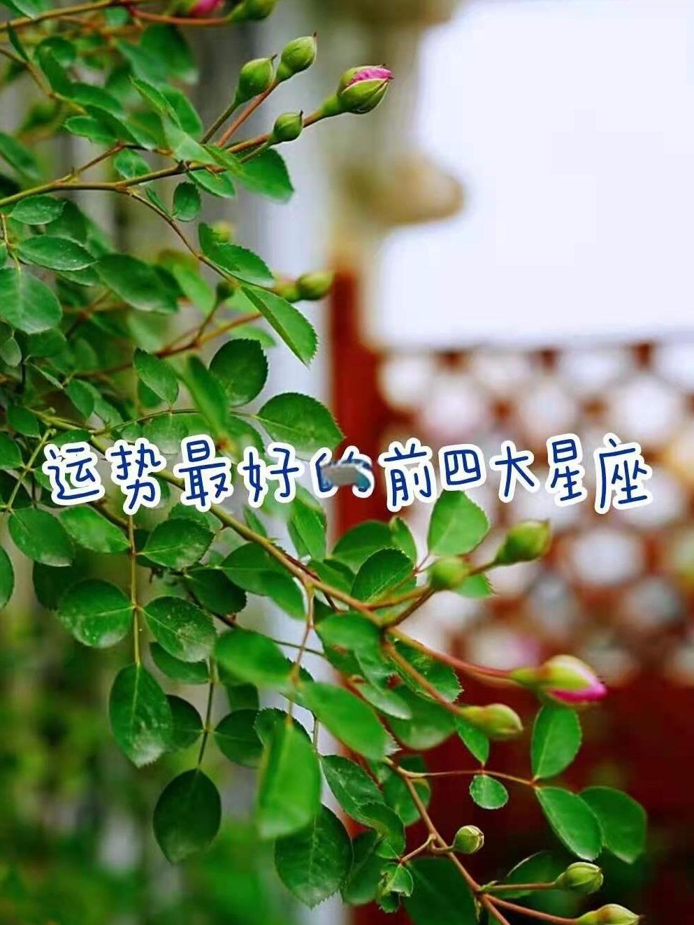在线运程准吗(在线算命准吗可信吗)
