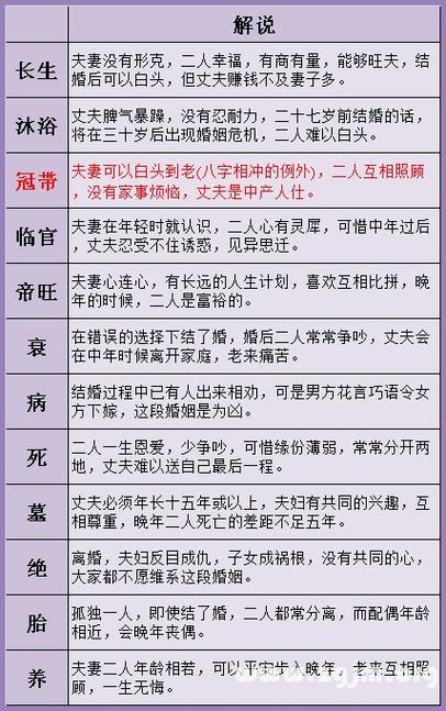 知易八字免费版(易奇八字算命软件)