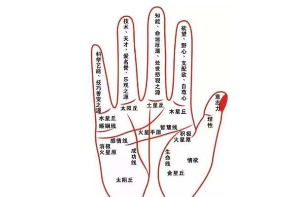 权威运势准不准(运势测算哪个比较准)