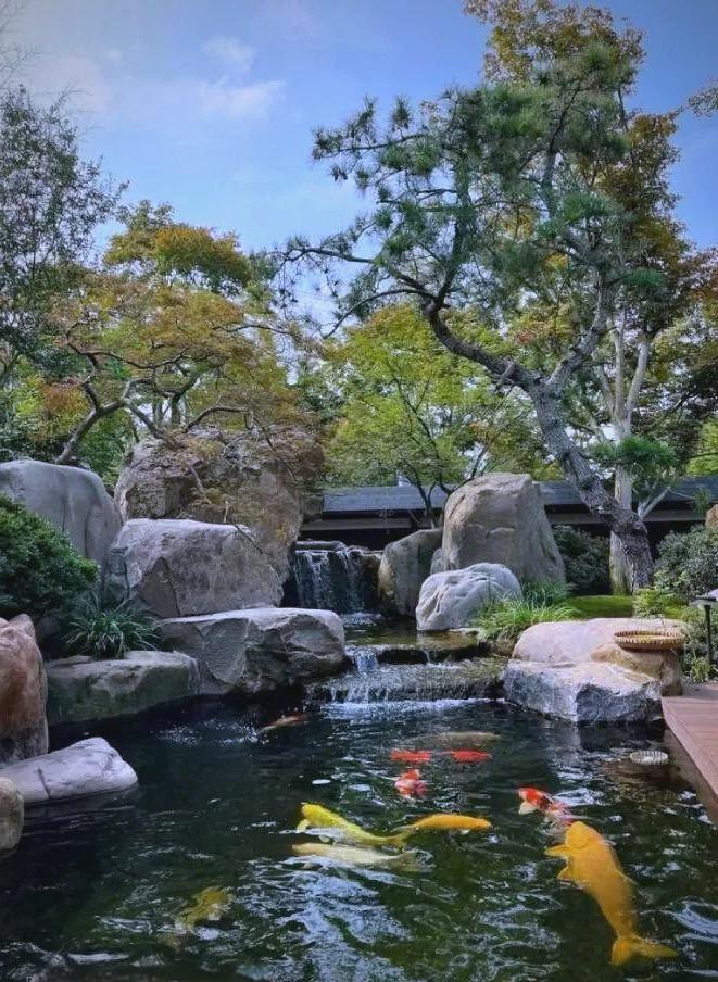 庭院假山景观效果图(家庭室内盆景假山图片)