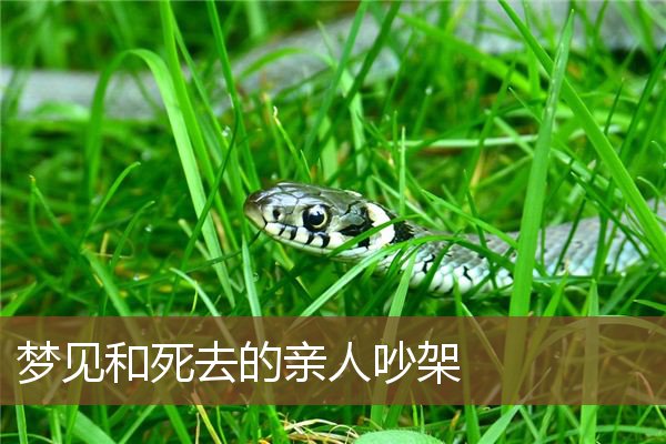 梦见死去的亲人又死去了(梦见死去的亲人又死去了自己不知道又从医院拉回来) 梦见死去的亲人又死去了(梦见死去的亲人又死去了自己不知道又从医院拉回来)
