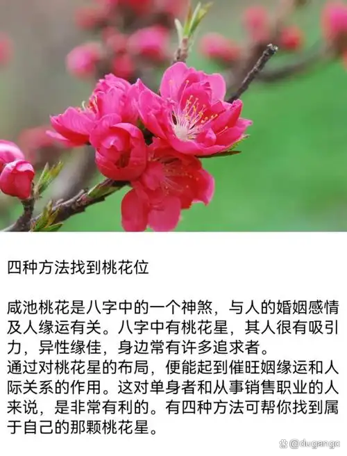 八字中桃花的查法口诀(八字中各种桃花的查法口诀)