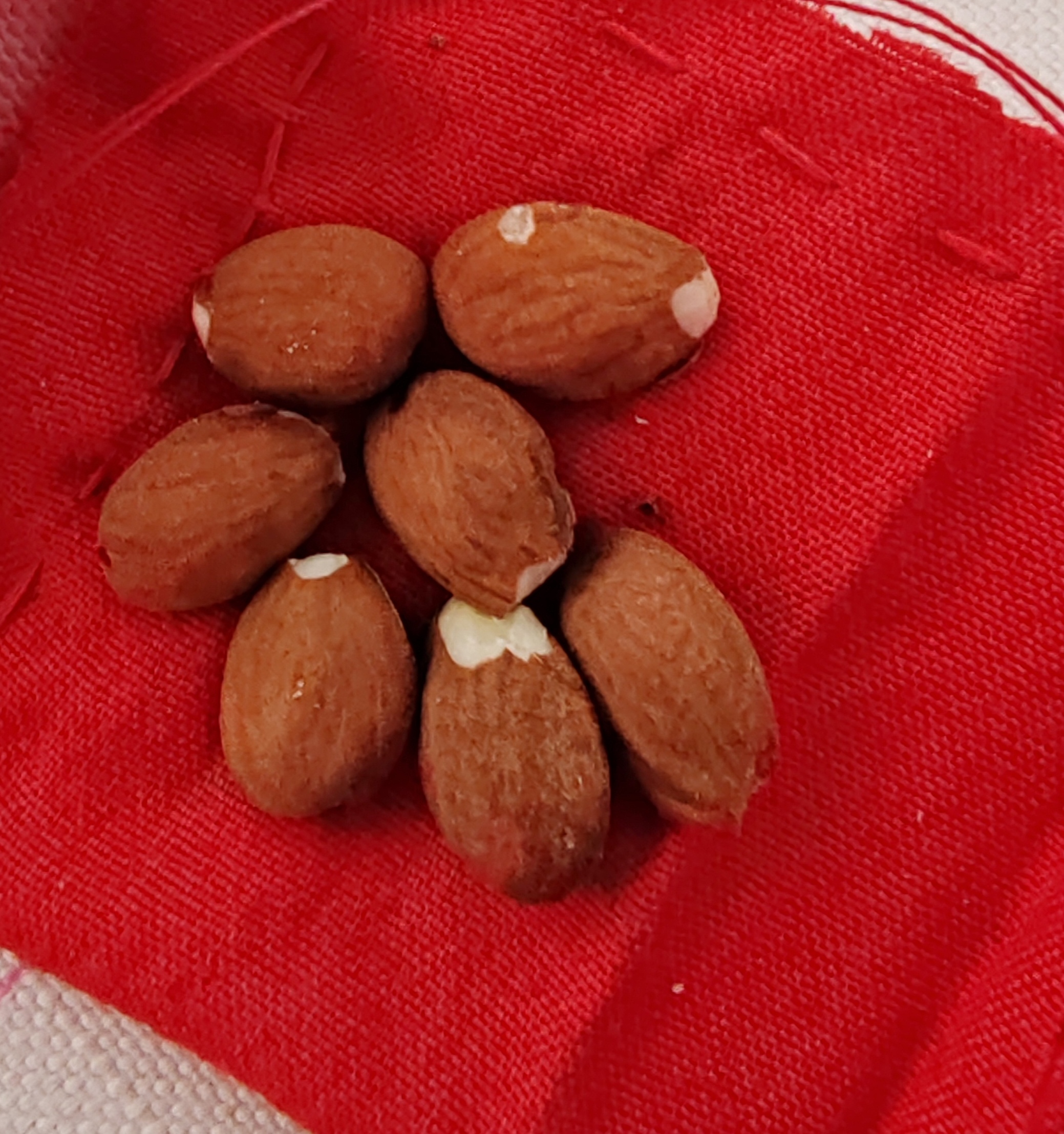 生肖破太岁(生肖破太岁年前还是年后)