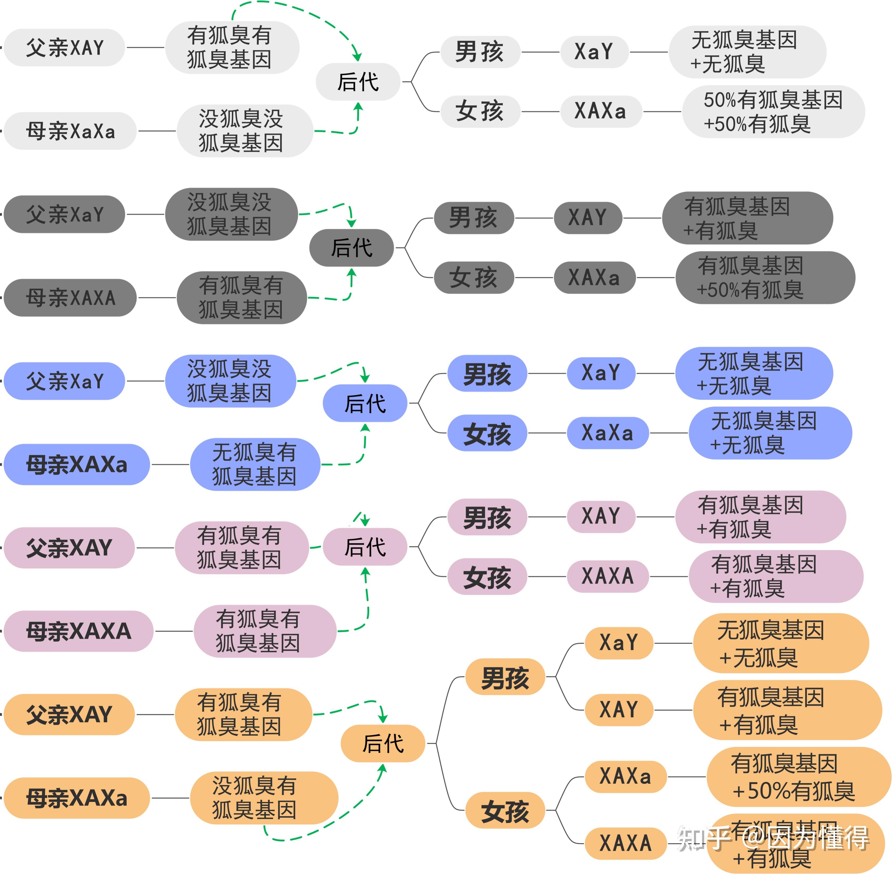 没遗传狐臭的人后代会遗传吗(没遗传狐臭的人后代会遗传吗知乎) 没遗传狐臭的人后代会遗传吗(没遗传狐臭的人后代会遗传吗知乎)