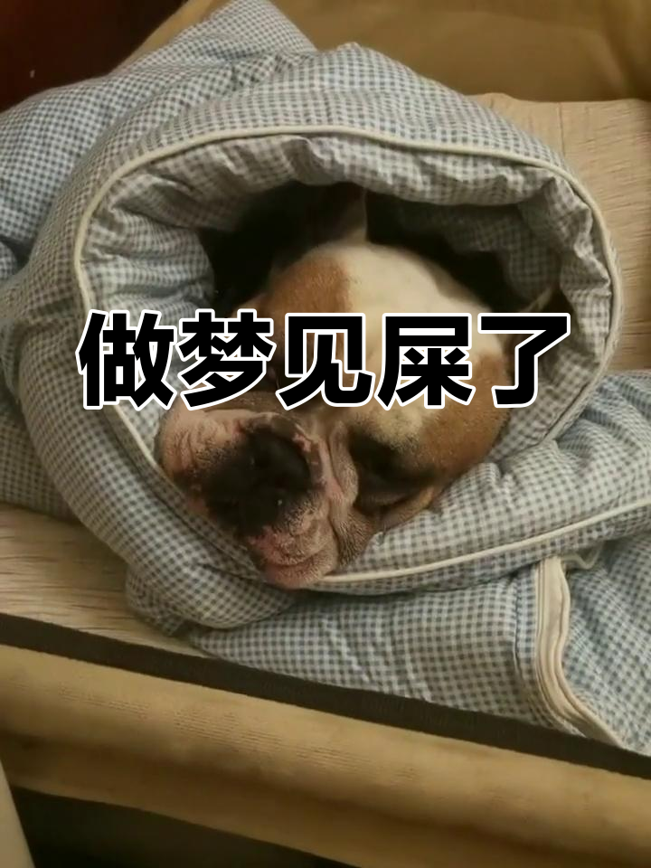 梦见拉屎是怎么回事周公解梦(梦见拉屎是怎么回事周公解梦女人)