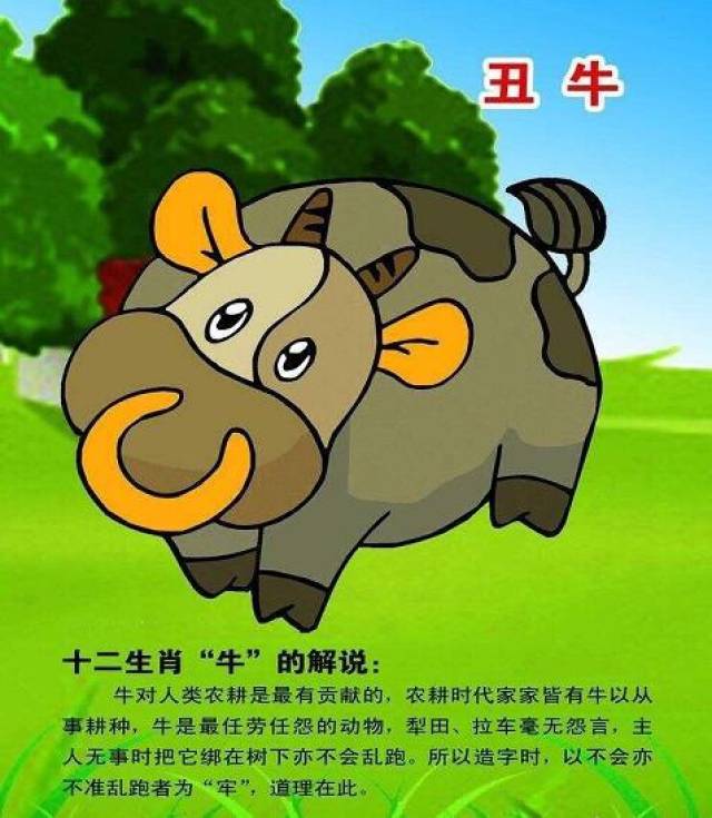 手机生肖如何(最准的手机生肖数字)