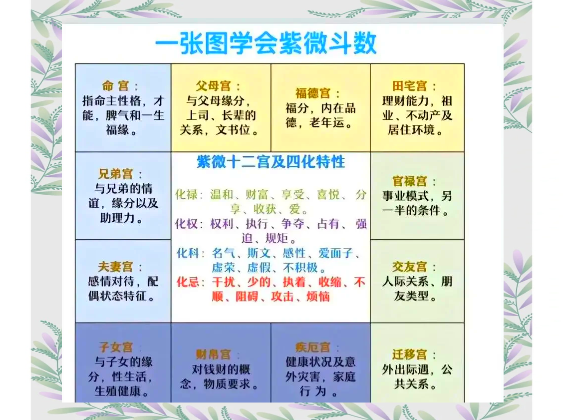 紫微看配偶身高和相貌(紫微看配偶身高和相貌详细点)