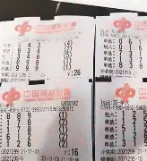 梦到蛇买彩票选6个数字(梦到蛇买双色球选6个数字)