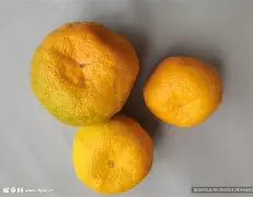 关于三个已灭绝的复姓蛋黄包怎么做的的信息 关于三个已灭绝的复姓蛋黄包怎么做的的信息