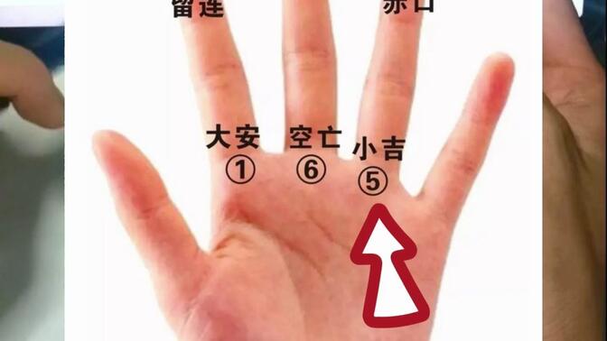占卜正确用法示例视频(占卜正确用法示例视频教程) 占卜正确用法示例视频(占卜正确用法示例视频教程)