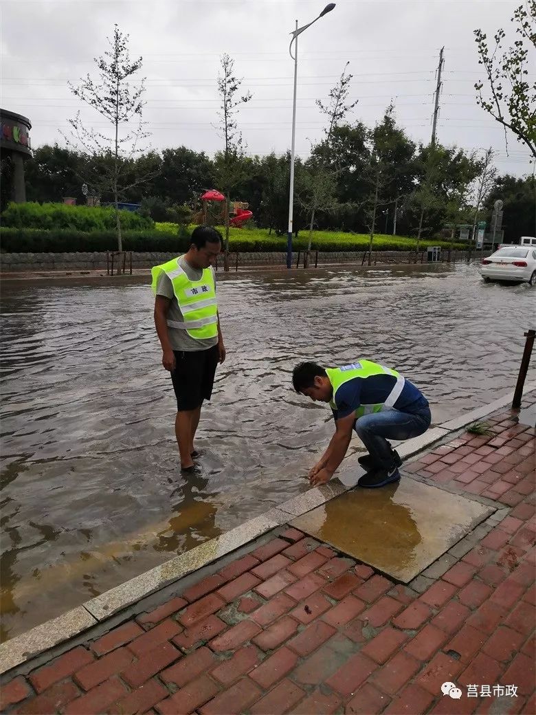 双胞胎暴雨中降生被起名定海神针的简单介绍 双胞胎暴雨中降生被起名定海神针的简单介绍