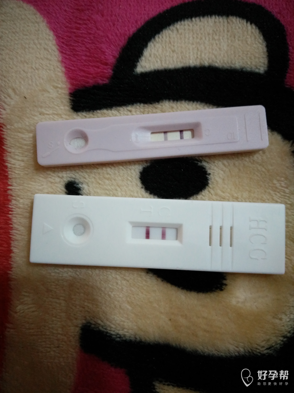 妈妈好孕测名网(好孕妈妈名字测试) 妈妈好孕测名网(好孕妈妈名字测试)